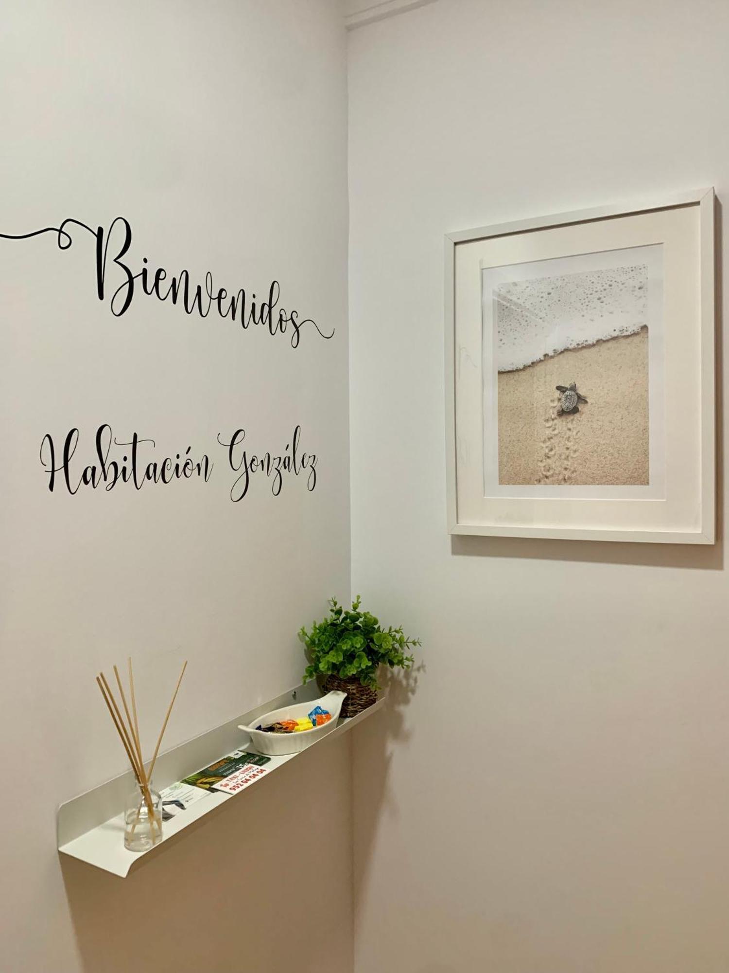 Habitacion Gonzalez 马拉加 外观 照片